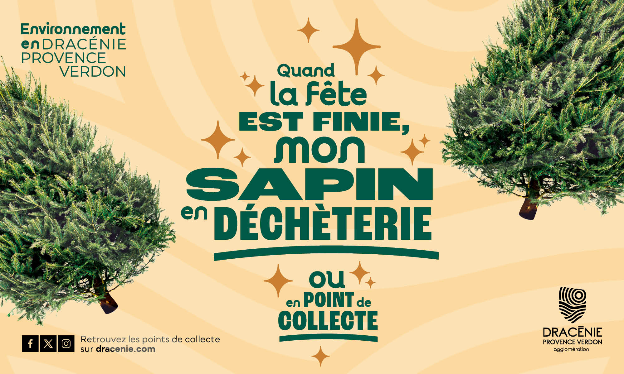 Fêtes terminées, sapins recyclés