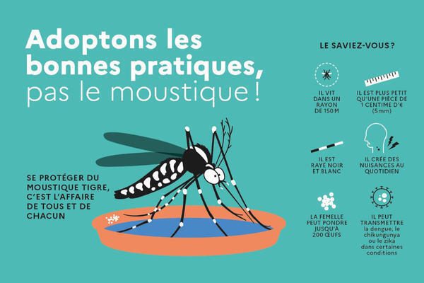 prevention-moustique-prefet-var-draguignan-2024